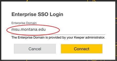 msu sso